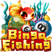 Bingo Fishing on Maxey Stats